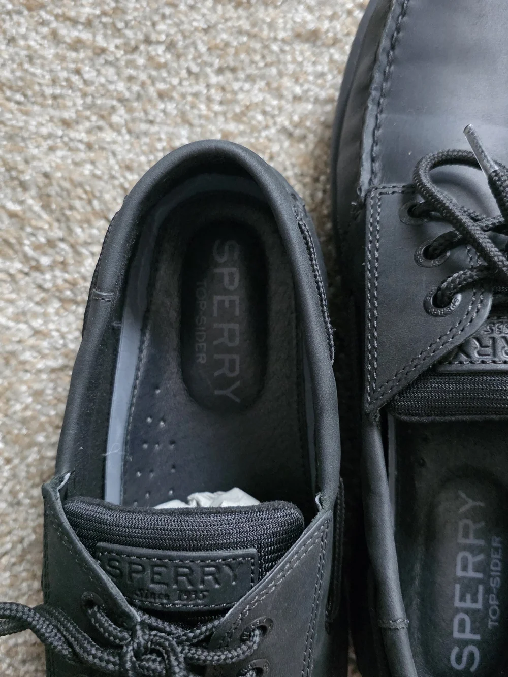 Sperry mens size